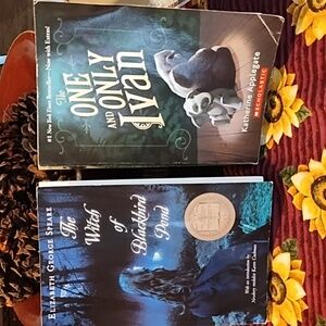 2 backpack books in good condition for youth.